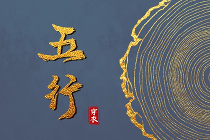 今天穿衣指南五行,五行木生土,喜用神排盘,五行属性,排八字五行